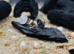 Classic Oval Silver Tops for Women - Image 4