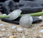 Classic Spiral Round Silver Tops for Women - Image 4